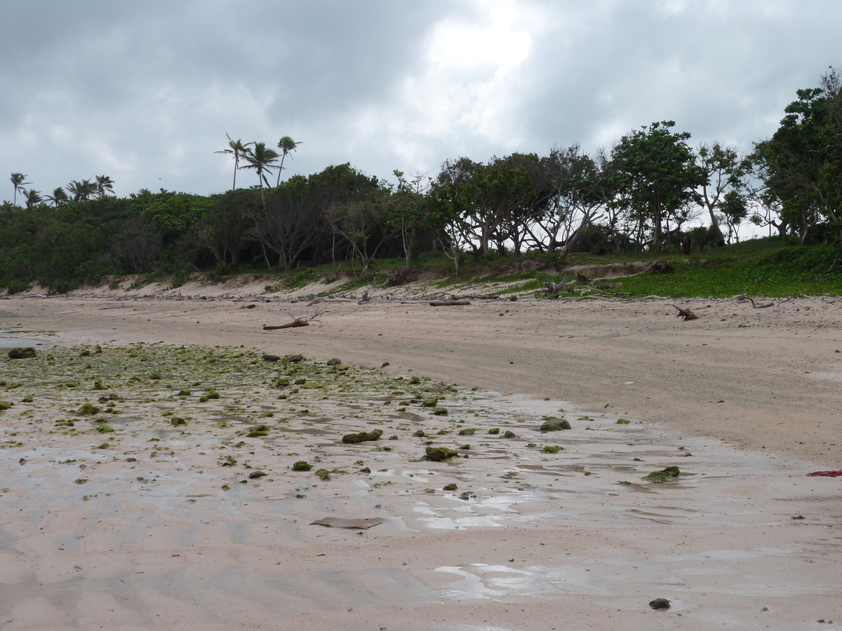 รูปถ่าย ฟิจิ(Fiji) ถนนจากนาดีไปนาตาโดลา(Nadi to Natadola road) 2010-05 44