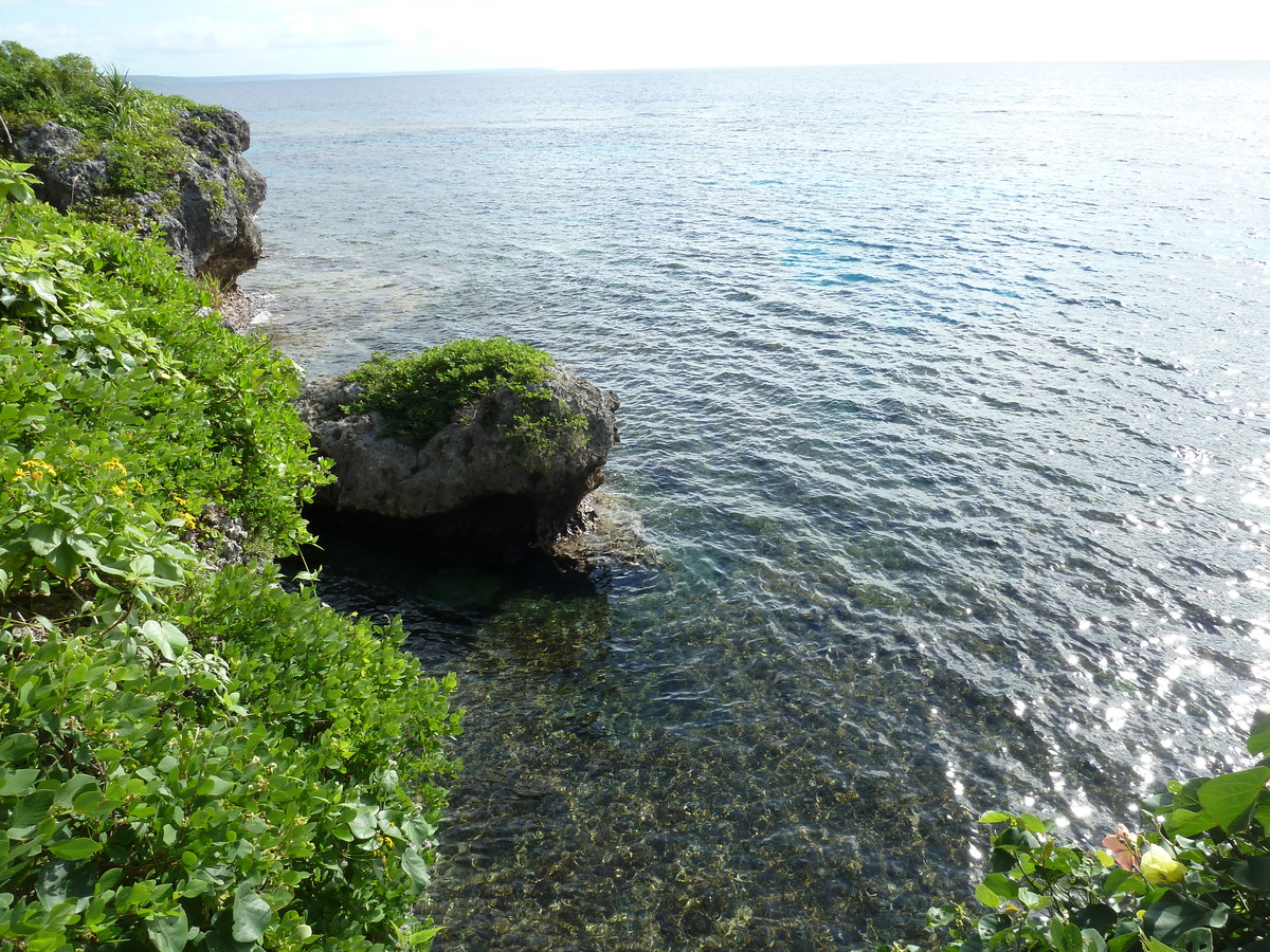 รูปถ่าย นิวแคลิโดเนีย(New Caledonia) เกาะลีฟู(Lifou) โยซิป(Josip) 2010-05 37