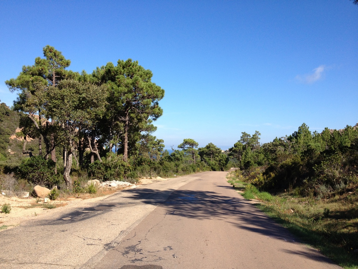 รูปถ่าย ฝรั่งเศส(France) คอร์สิคา(Corsica) ปอร์โต-เวกคีโอ(Porto Vecchio) 2012-09 23