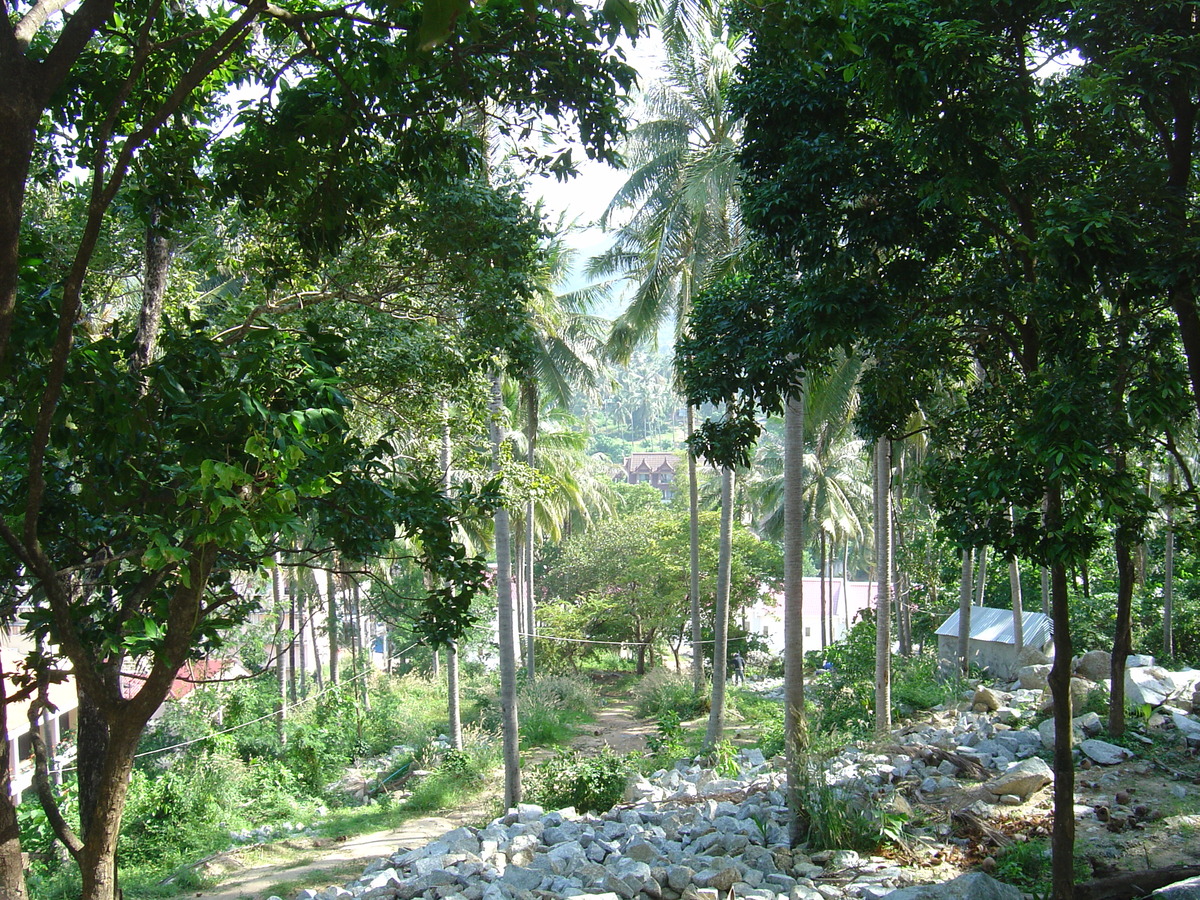 รูปถ่าย ไทย(Thailand) ภูเก็ต(Phuket) กะตะกะรน(Kata Karon) 2005-12 54