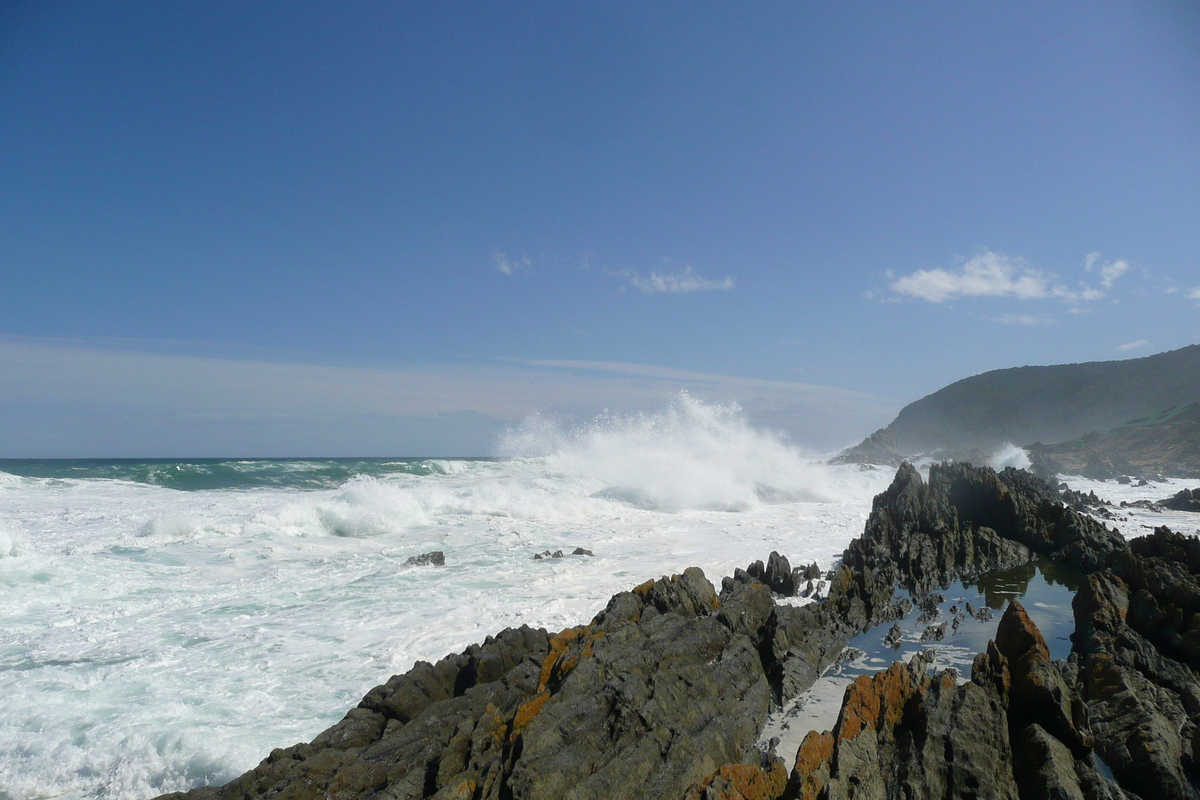 รูปถ่าย แอฟริกาใต้(South Africa) อุทยานแห่งชาติซิตซิคัมมา(Tsitsikamma National Park) 2008-09 86