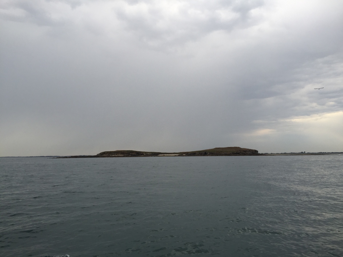 รูปถ่าย ฝรั่งเศส(France) อ่าวมอร์บีอ็อง(Golfe du Morbihan) 2016-08 25