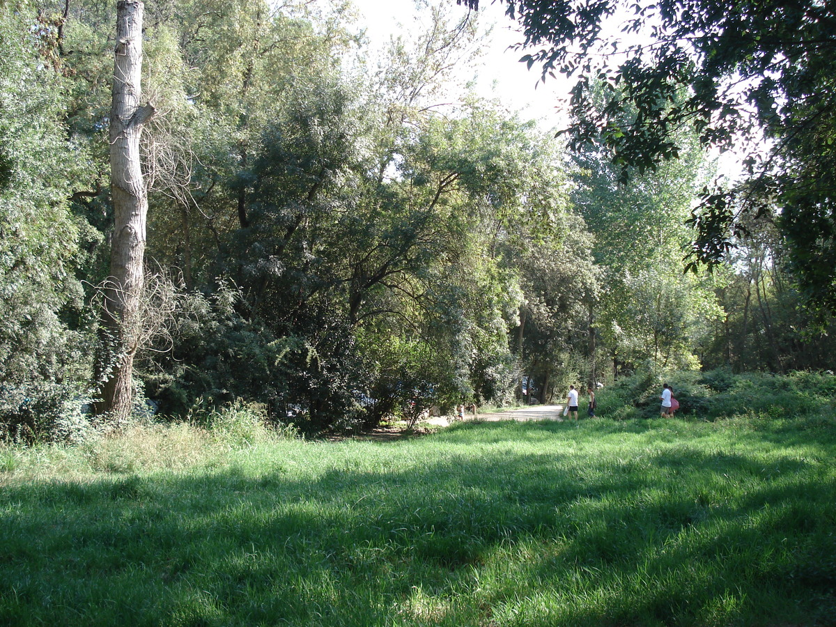 รูปถ่าย ฝรั่งเศส(France) วีลเนิฟ-ลูแบ(Villeneuve Loubet) สวนโวเกรอนีเย(Parc de Vaugrenier) 2006-09 12