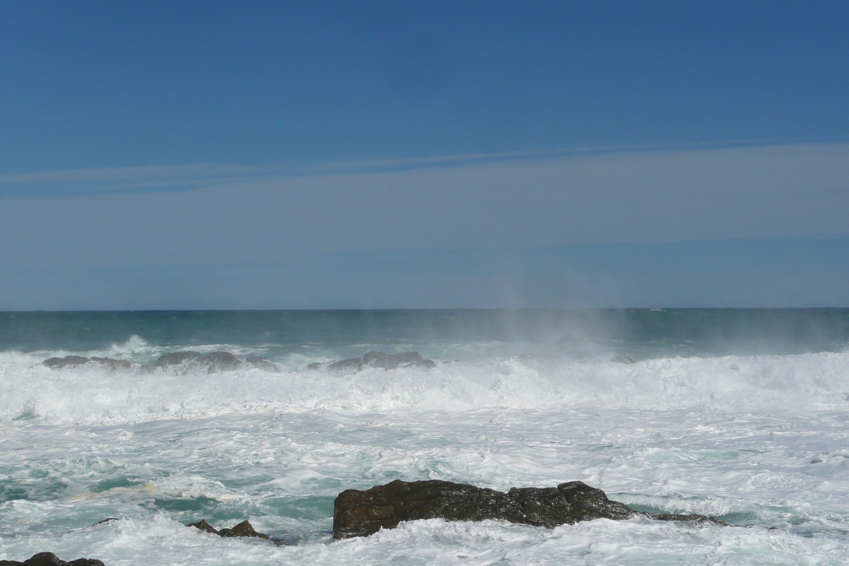 รูปถ่าย แอฟริกาใต้(South Africa) อุทยานแห่งชาติซิตซิคัมมา(Tsitsikamma National Park) 2008-09 384