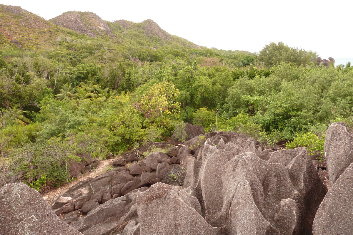 รูปถ่าย เซเชลส์(Seychelles) เกาะกูรีเยิซ(Curieuse) 2011-10 20