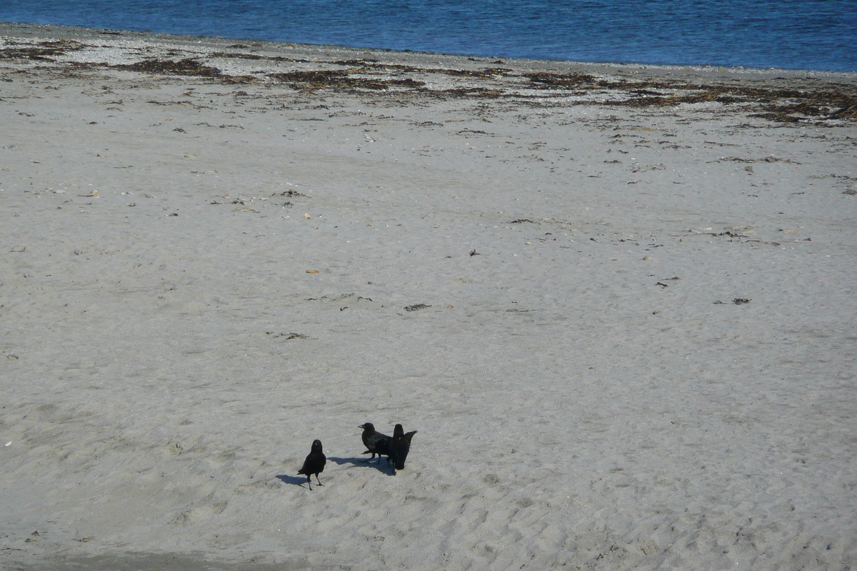 รูปถ่าย ฝรั่งเศส(France) คาบสมุทรกีเบอรง(Quiberon peninsula) แหลมกงแกล(Pointe du Conguel) 2008-07 33