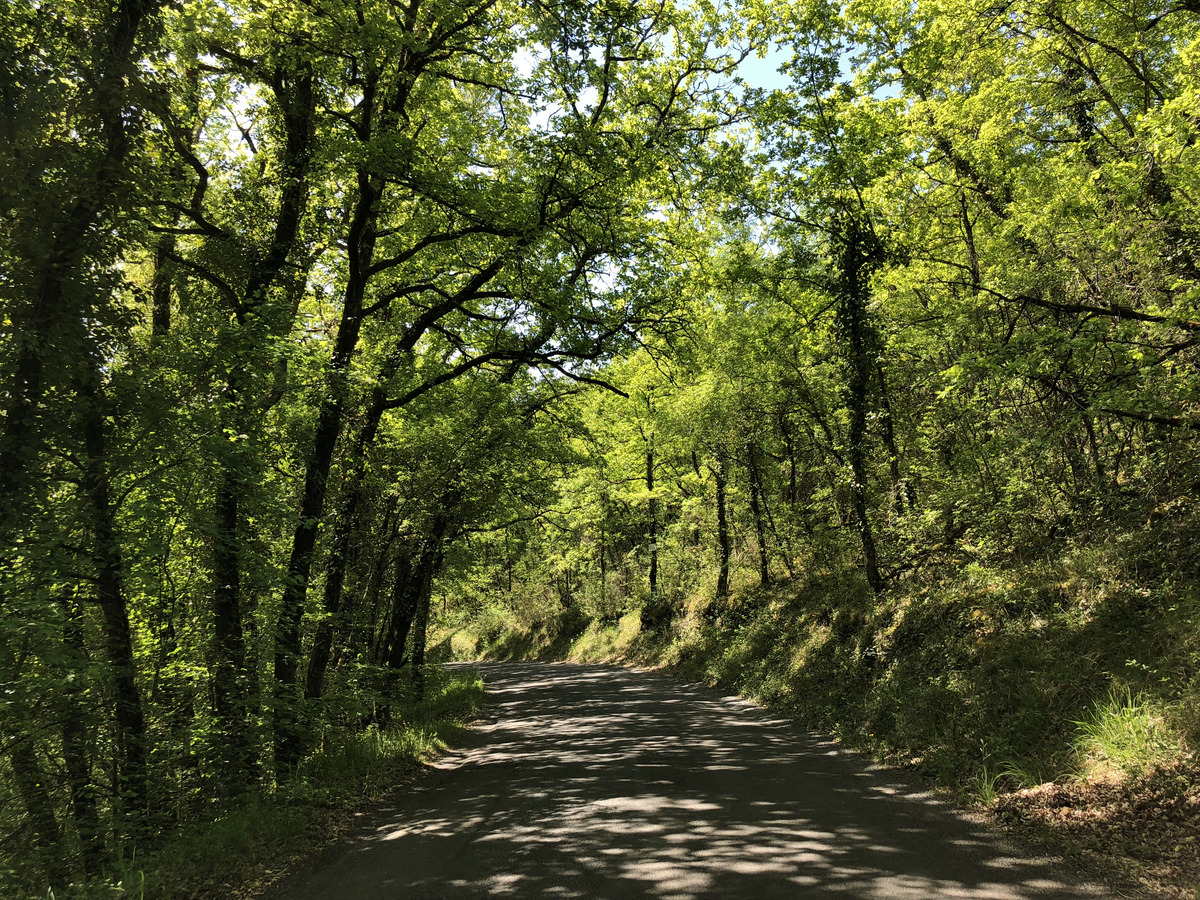 รูปถ่าย ฝรั่งเศส(France) ฟลัวรัก(Floirac) 2018-04 130