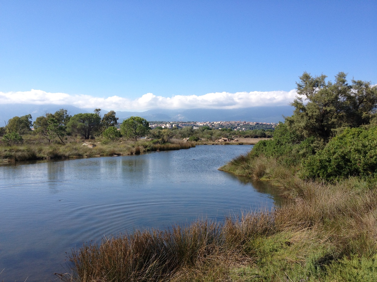 รูปถ่าย ฝรั่งเศส(France) คอร์สิคา(Corsica) ปอร์โต-เวกคีโอ(Porto Vecchio) 2012-09 24