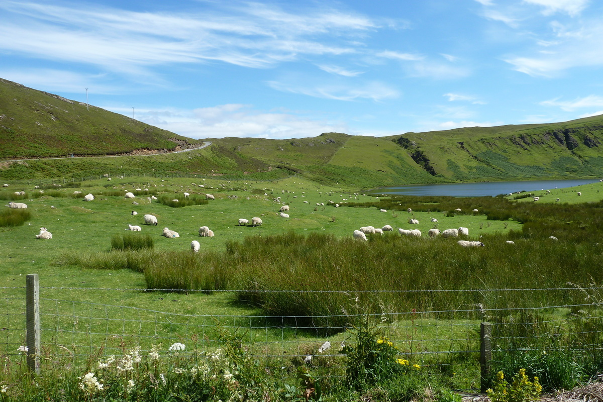 รูปถ่าย อังกฤษ(United Kingdom) เกาะสกาย(Skye) 2011-07 213