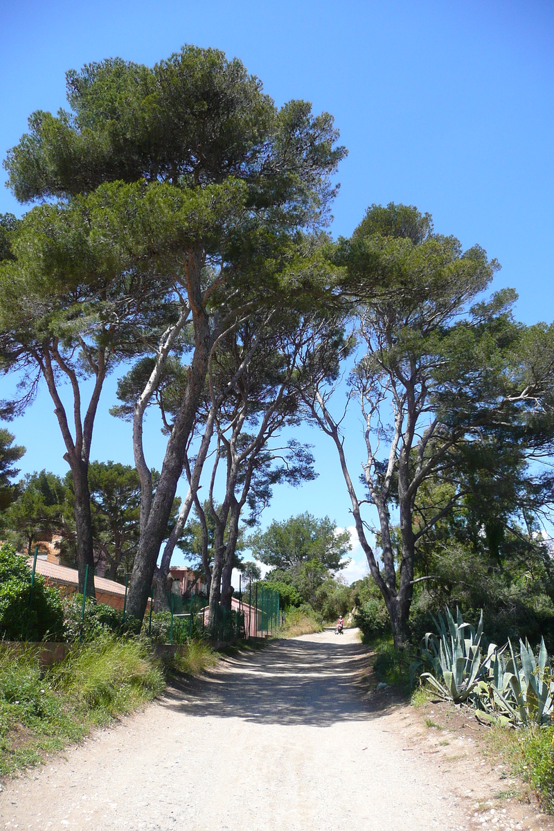 รูปถ่าย ฝรั่งเศส(France) เกาะปอร์เกอรอล(Porquerolles Island) แหลมแบร์ลีเยอ(Bearlieu Point) 2008-05 0