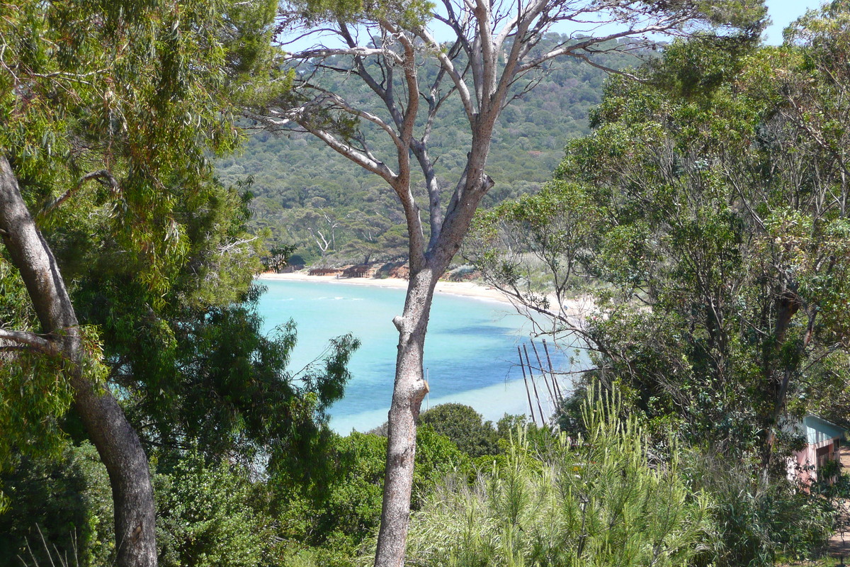 รูปถ่าย ฝรั่งเศส(France) เกาะปอร์เกอรอล(Porquerolles Island) แหลมแบร์ลีเยอ(Bearlieu Point) 2008-05 1