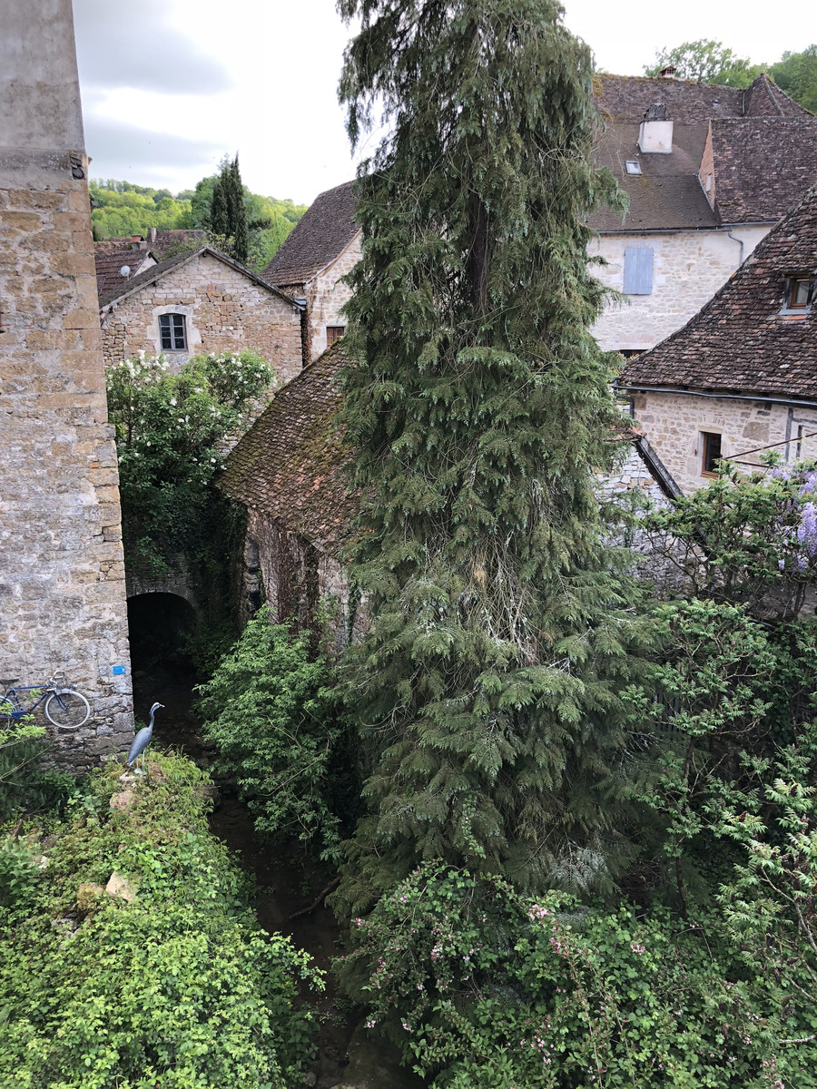 รูปถ่าย ฝรั่งเศส(France) กาเรนนัก(Carennac) 2018-04 35