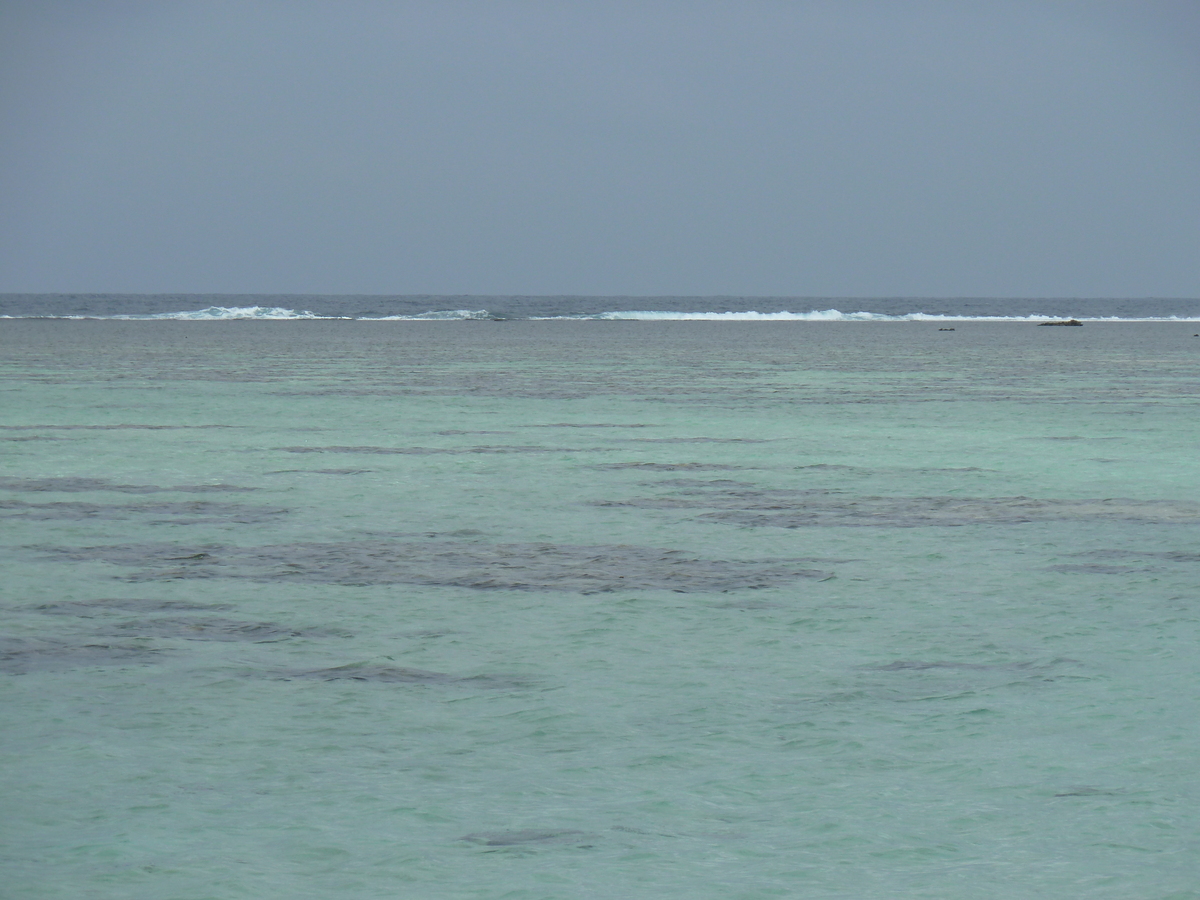 รูปถ่าย ฟิจิ(Fiji) ถนนจากนาดีไปนาตาโดลา(Nadi to Natadola road) 2010-05 54
