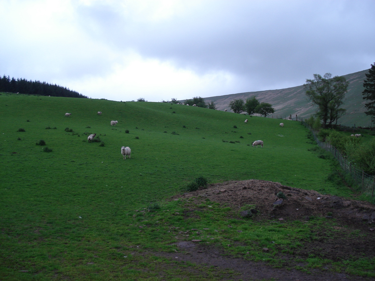 รูปถ่าย อังกฤษ(United Kingdom) อุทยานแห่งชาติเบรคอนบีคอนส์(Brecon Beacons National Park) 2006-05 100