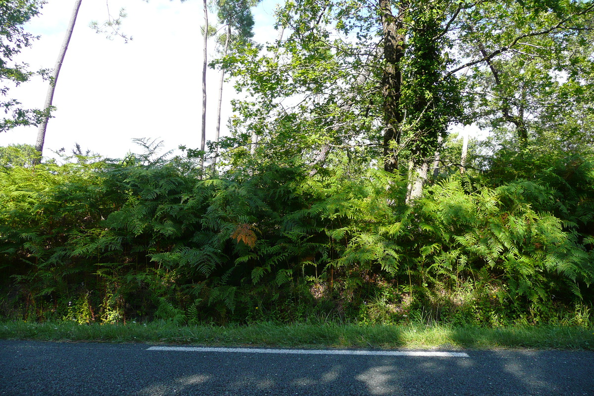 รูปถ่าย ฝรั่งเศส(France) ถนนริมทะเลสาบฌีรงด์(Gironde lakes road) 2007-08 8