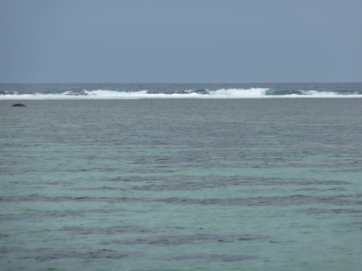 รูปถ่าย ฟิจิ(Fiji) ถนนจากนาดีไปนาตาโดลา(Nadi to Natadola road) 2010-05 0