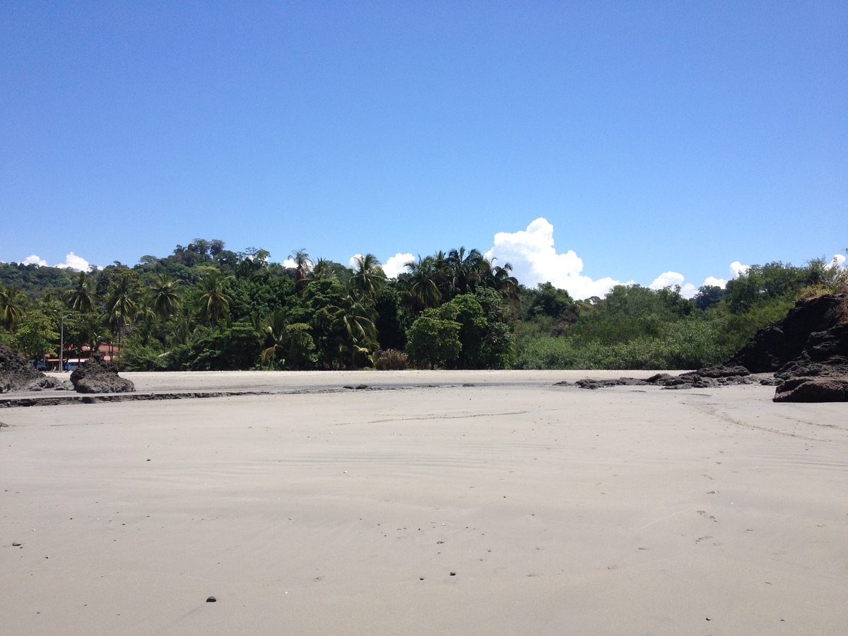 รูปถ่าย คอสตาริกา(Costa Rica) มานวยล์อันโตนีโอ(Manuel Antonio) 2015-03 77