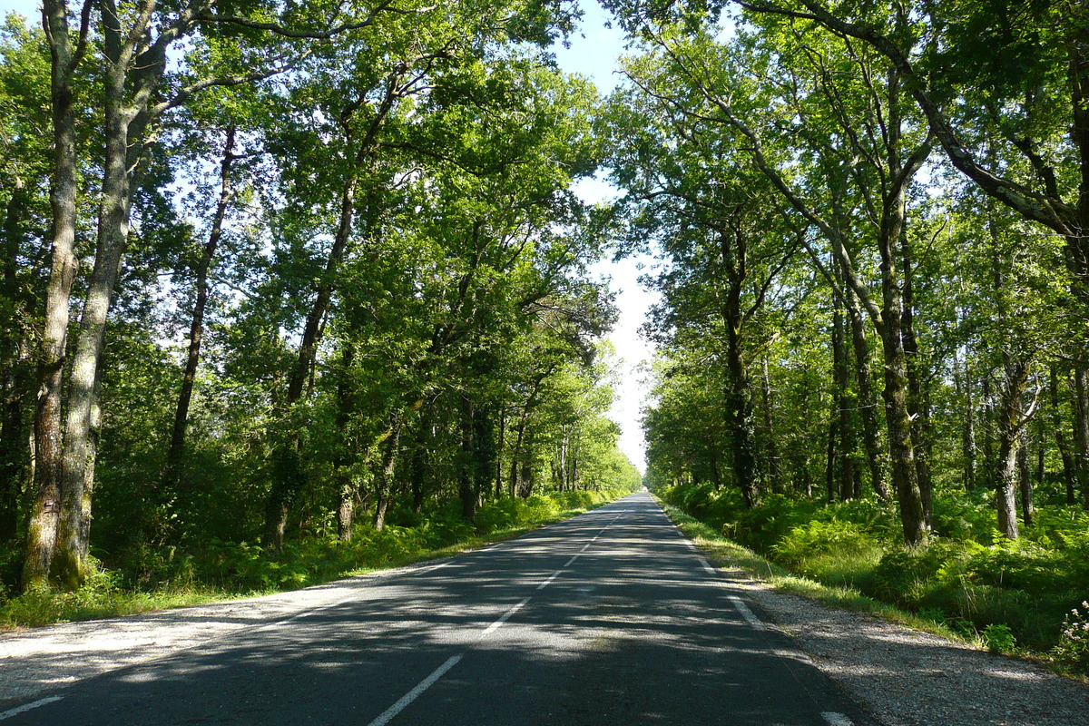 รูปถ่าย ฝรั่งเศส(France) ถนนริมทะเลสาบฌีรงด์(Gironde lakes road) 2007-08 3