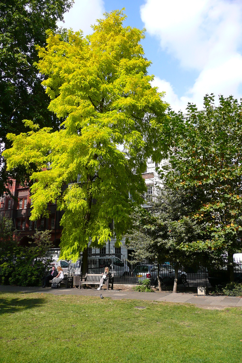 รูปถ่าย อังกฤษ(United Kingdom) ลอนดอน(London) จัตุรัสโซโห(Soho Square) 2007-09 52