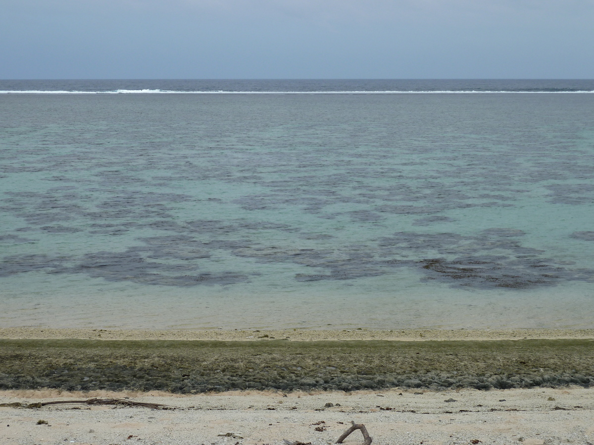 รูปถ่าย ฟิจิ(Fiji) ถนนจากนาดีไปนาตาโดลา(Nadi to Natadola road) 2010-05 87