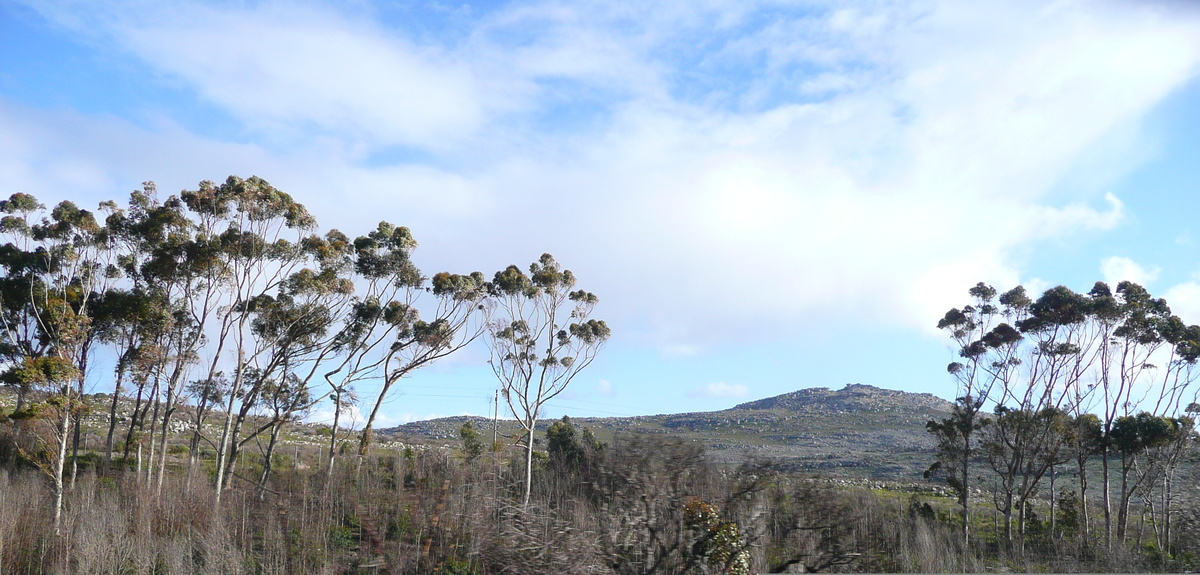 รูปถ่าย แอฟริกาใต้(South Africa) แหลมกู๊ดโฮป(Cape of Good Hope) 2008-09 38