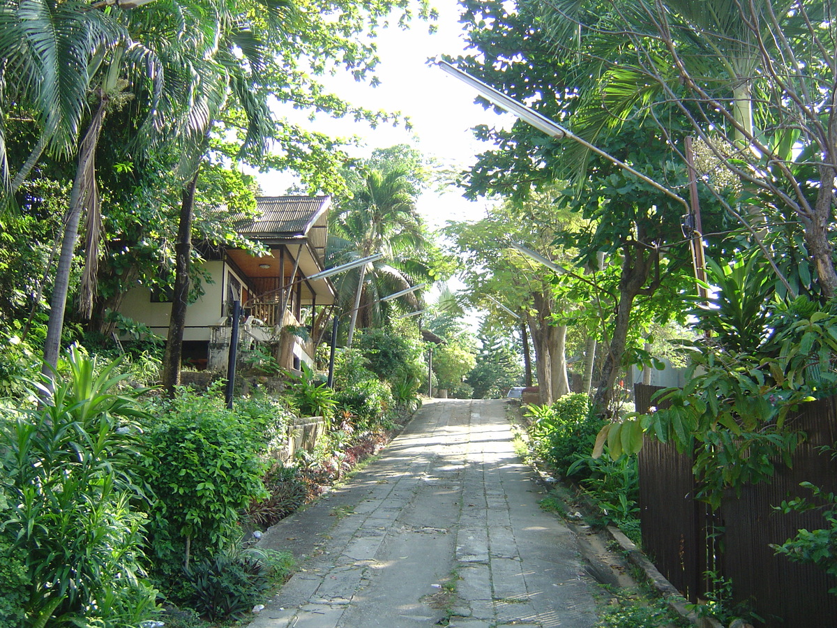 รูปถ่าย ไทย(Thailand) ภูเก็ต(Phuket) กะตะกะรน(Kata Karon) 2005-12 33