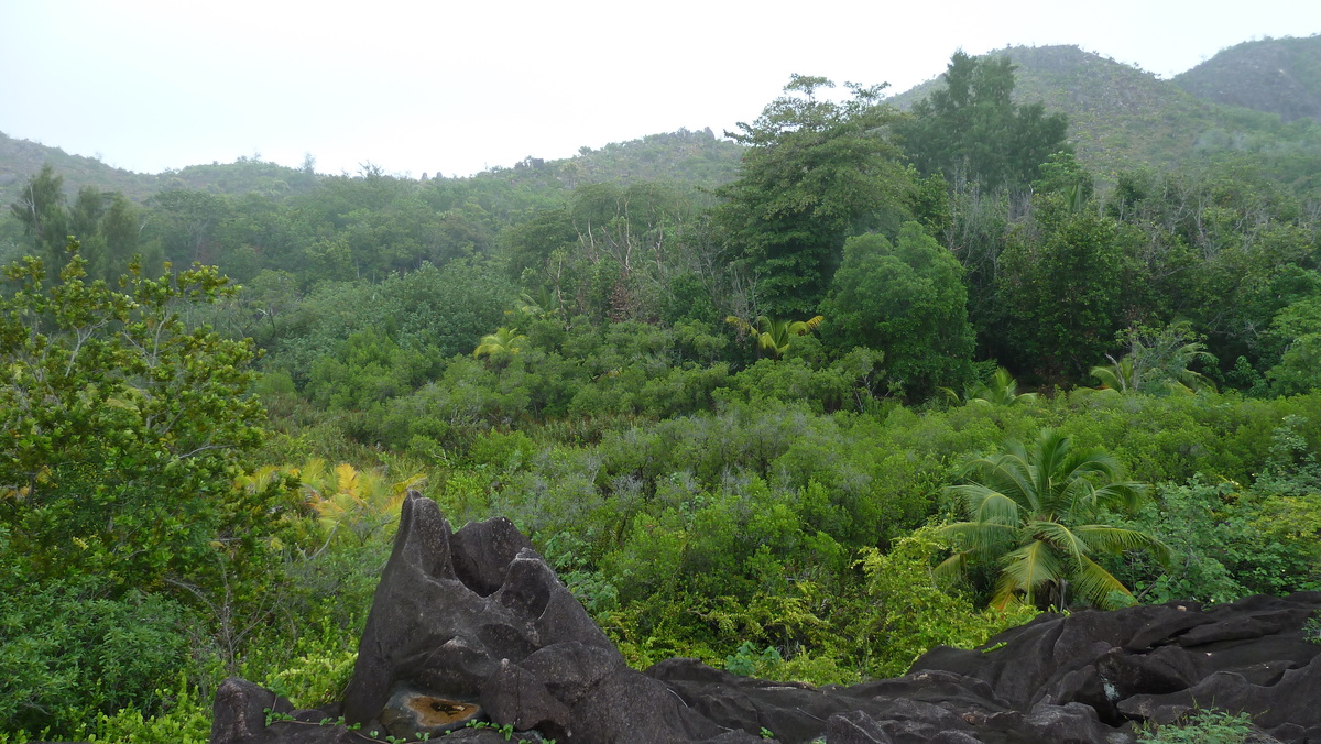 รูปถ่าย เซเชลส์(Seychelles) เกาะกูรีเยิซ(Curieuse) 2011-10 23