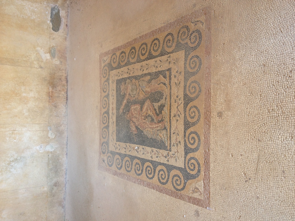 รูปถ่าย กรีก(Greece) เกาะดีลอส(Delos) 2014-07 83