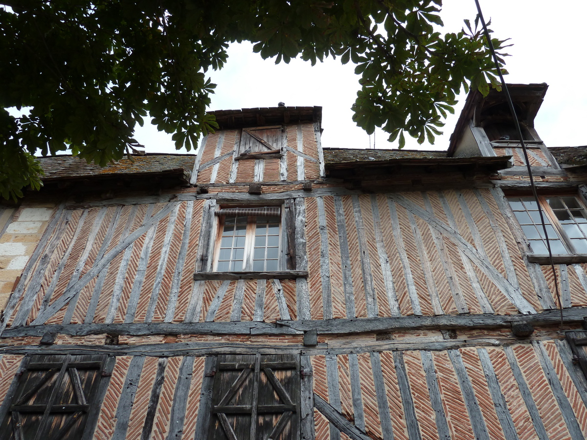 รูปถ่าย ฝรั่งเศส(France) แบร์เฌอรัก(Bergerac) 2010-08 63
