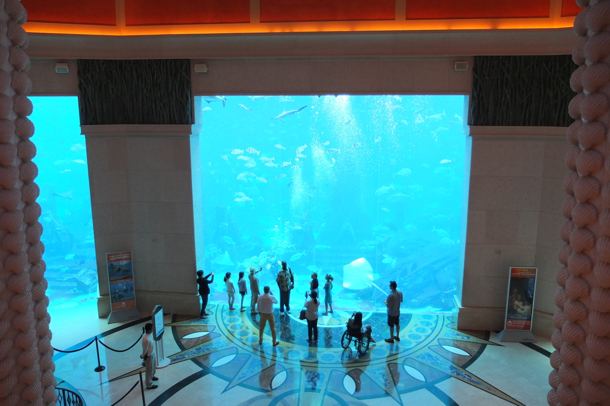 รูปถ่าย สหรัฐอาหรับเอมิเรตส์(United Arab Emirates) ดูไบ(Dubai) โรงแรมแอตแลนติส(Atlantis Hotel) 2014-02 215