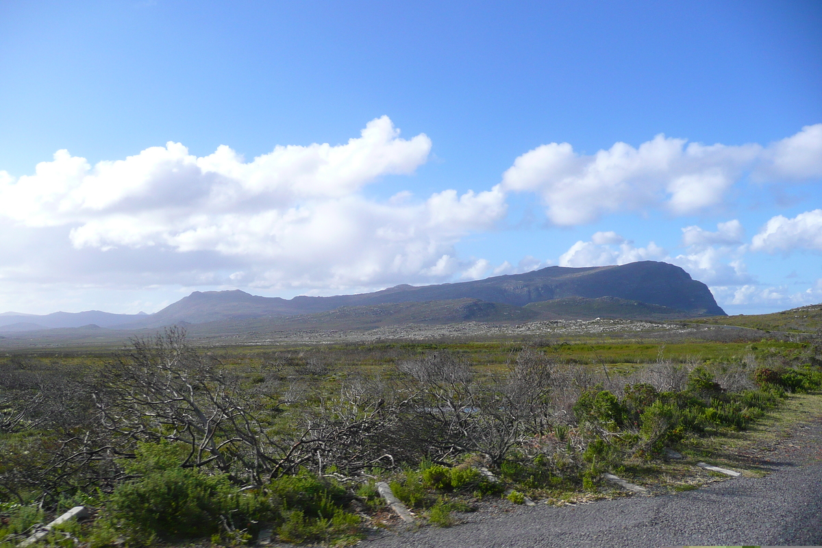 รูปถ่าย แอฟริกาใต้(South Africa) แหลมกู๊ดโฮป(Cape of Good Hope) แหลมเคปพอยต์(Cape Point) 2008-09 16