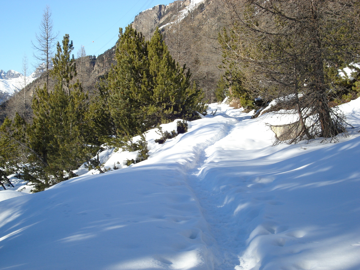 รูปถ่าย สวิสเซอร์แลนด์(Switzerland) จากปอนเตรซีนาไปลาโกเบียนโก(From Pontresina to Lago Bianco) 2007-01 7