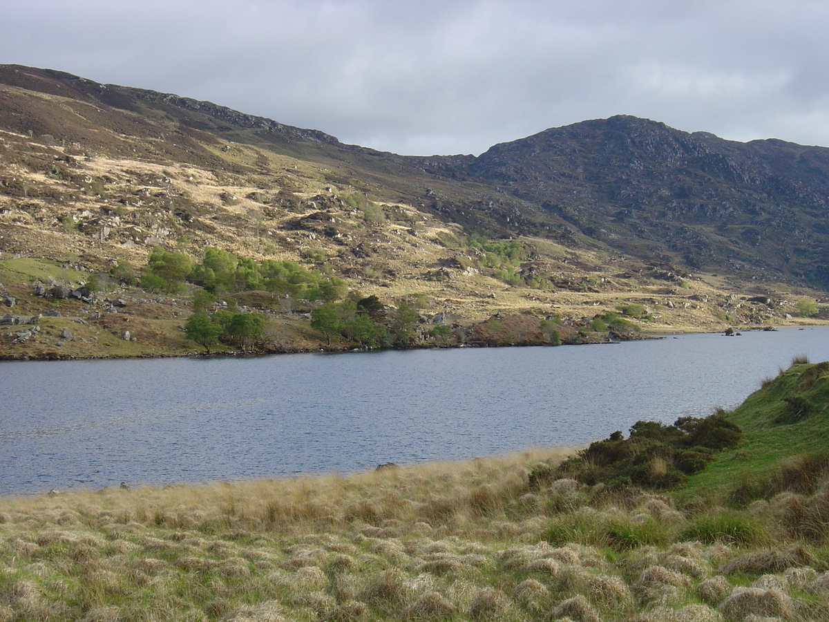 รูปถ่าย ไอร์แลนด์(Ireland) เคอร์รี่(Kerry) สวนสาธารณะคิลลาร์นีย์เนชั่นเนล(Killarney National Park) 2004-05 4
