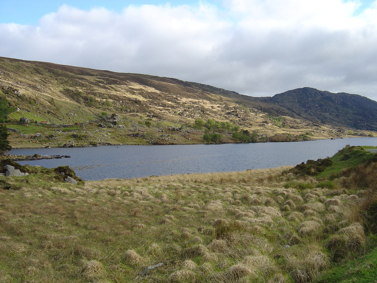 รูปถ่าย ไอร์แลนด์(Ireland) เคอร์รี่(Kerry) สวนสาธารณะคิลลาร์นีย์เนชั่นเนล(Killarney National Park) 2004-05 44
