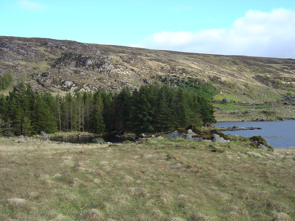 รูปถ่าย ไอร์แลนด์(Ireland) เคอร์รี่(Kerry) สวนสาธารณะคิลลาร์นีย์เนชั่นเนล(Killarney National Park) 2004-05 53