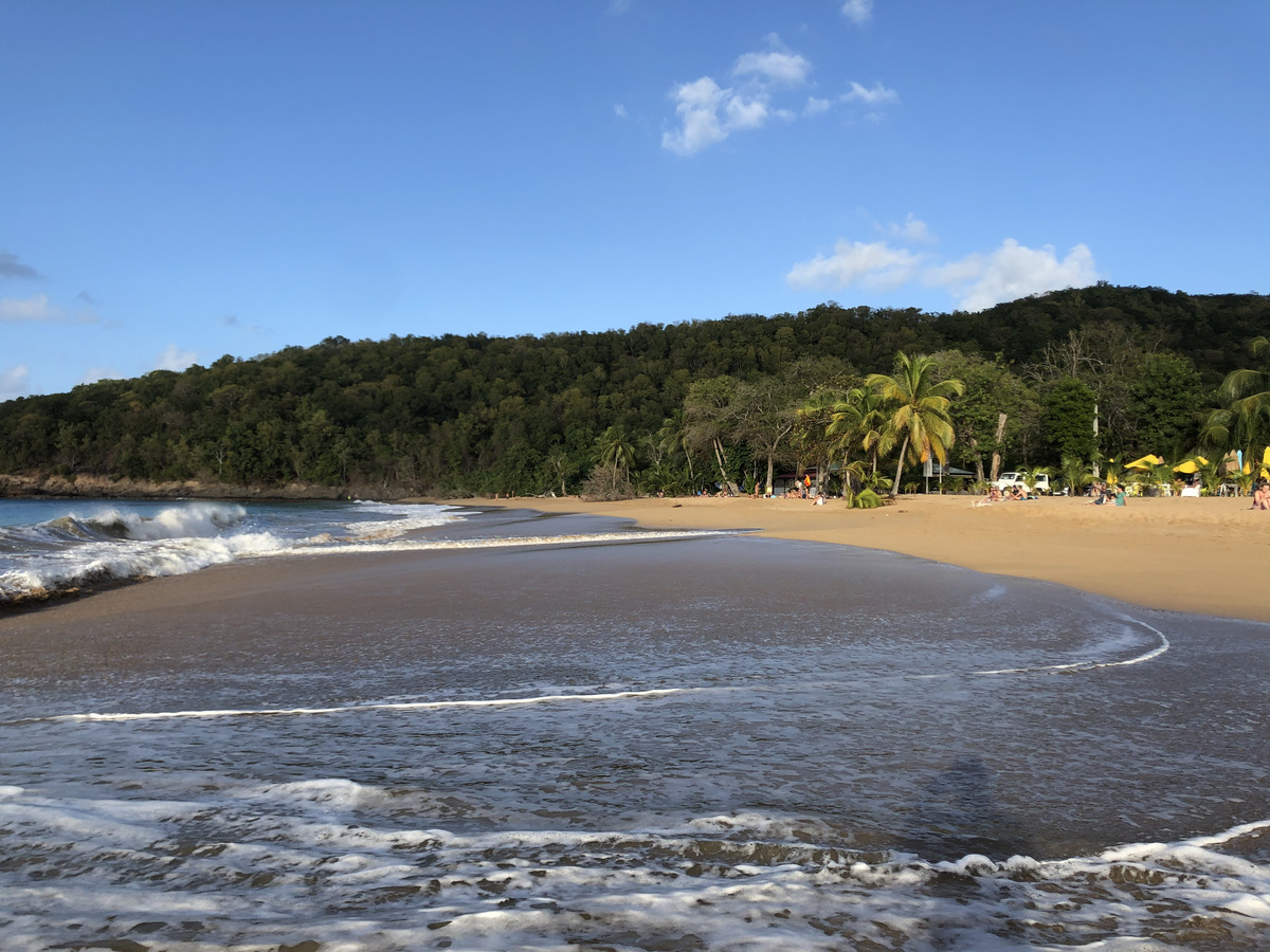 รูปถ่าย กวาเดอลูป(Guadeloupe) หาดลาแปร์ล(La Perle Beach) 2021-02 128