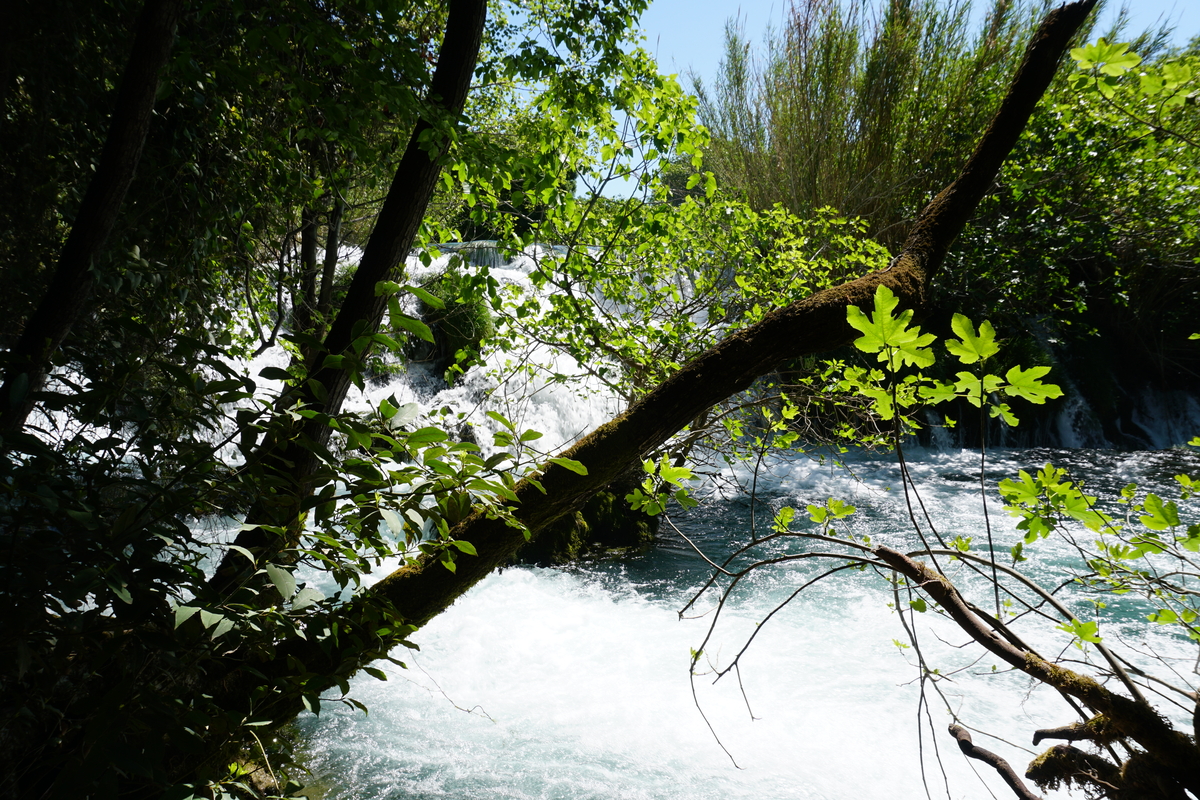 รูปถ่าย โครเอเชีย(Croatia) อุทยานแห่งชาติเคอร์คา(Krka National Park) 2016-04 92