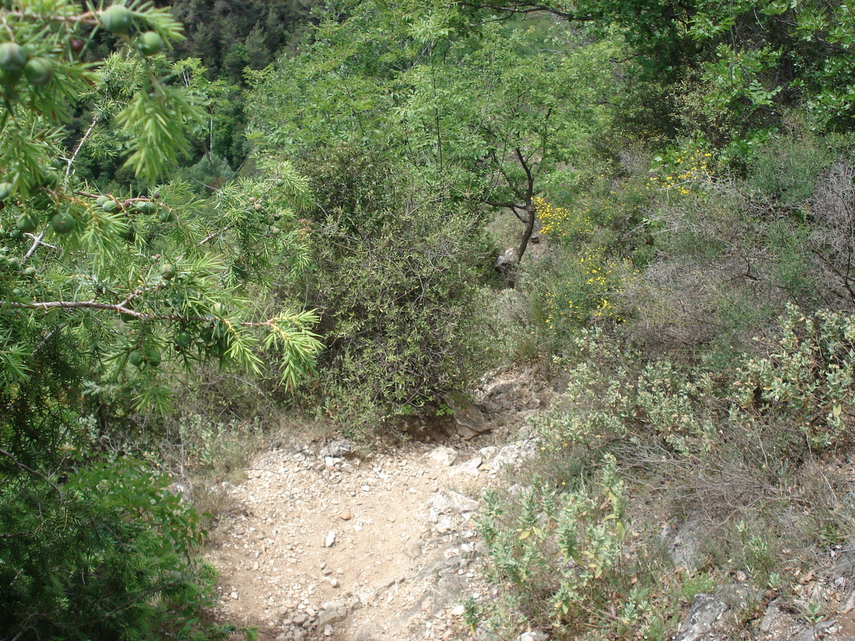 รูปถ่าย ฝรั่งเศส(France) วังซ์(Vence) บาอู(Baou) 2006-06 103