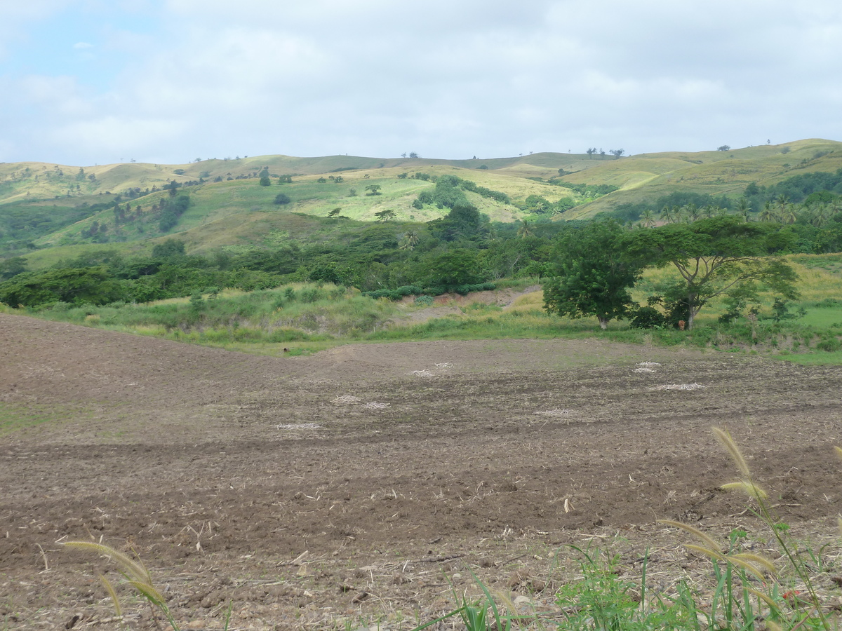 รูปถ่าย ฟิจิ(Fiji) ถนนจากนาดีไปนาตาโดลา(Nadi to Natadola road) 2010-05 12