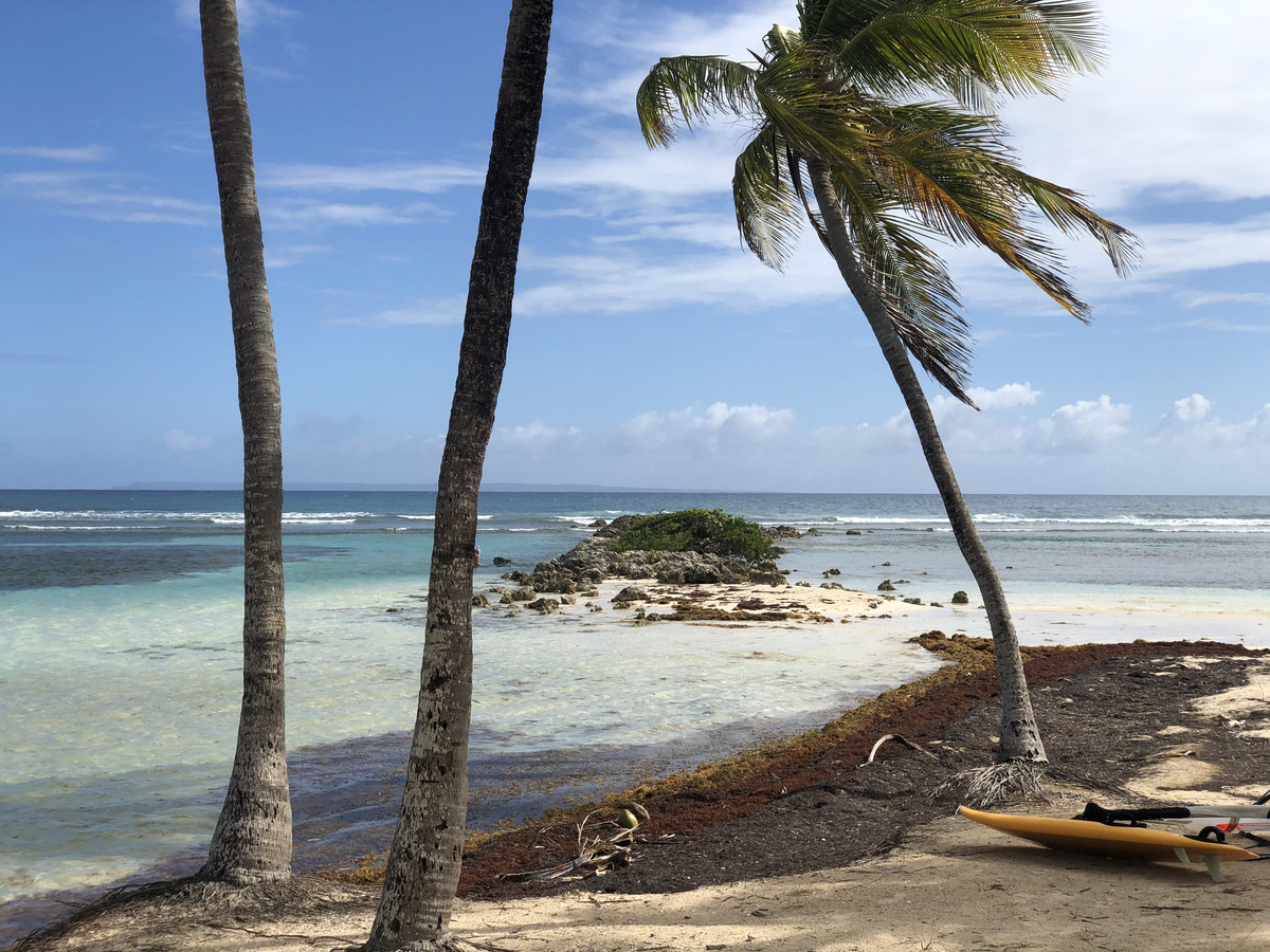 รูปถ่าย กวาเดอลูป(Guadeloupe) หาดลาการาแวล(La Caravelle Beach) 2021-02 104