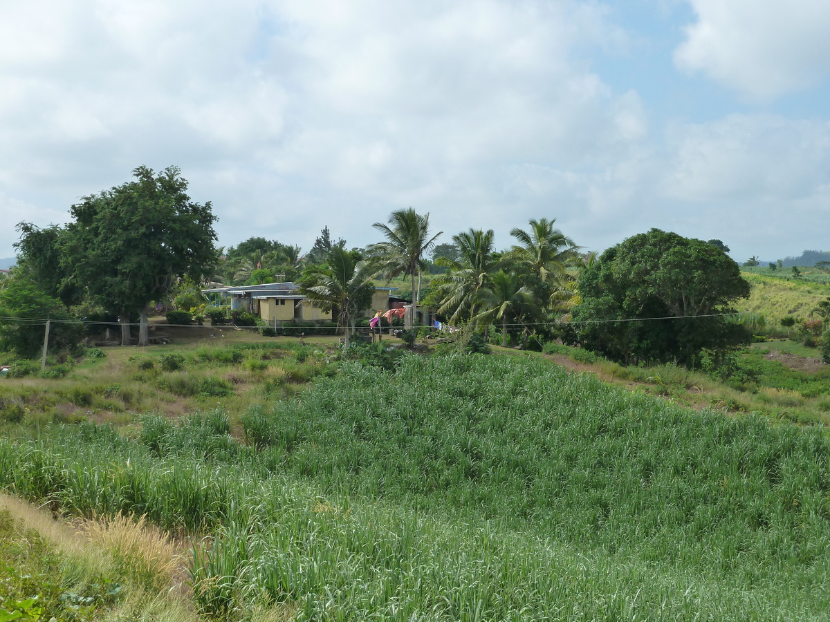 รูปถ่าย ฟิจิ(Fiji) ถนนจากนาดีไปนาตาโดลา(Nadi to Natadola road) 2010-05 1