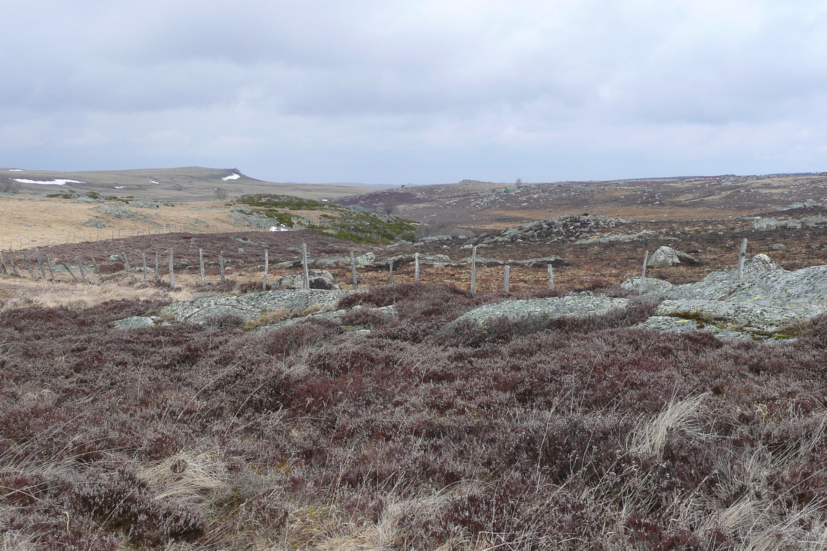 รูปถ่าย ฝรั่งเศส(France) โอบรัก(L'Aubrac) 2008-04 16