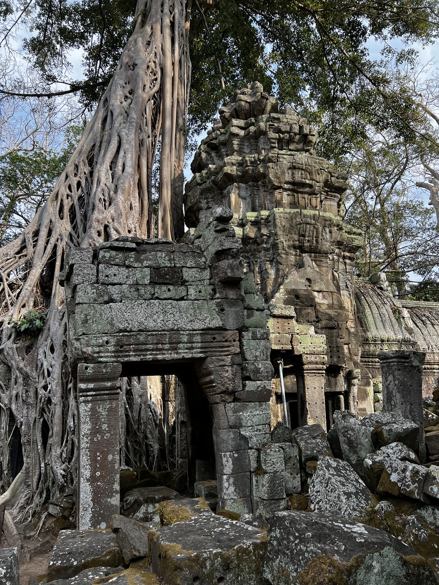 รูปถ่าย กัมพูชา(Cambodia) เสียมราฐ(Siem Reap) ปราสาทตาพรหม(Ta Prohm) 2023-01 152