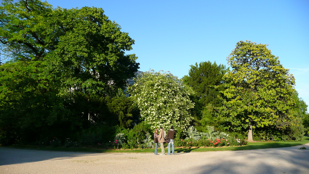 รูปถ่าย ฝรั่งเศส(France) ปารีส(Paris) ช็องเซลีเซ(Champs Elysees) 2007-04 112