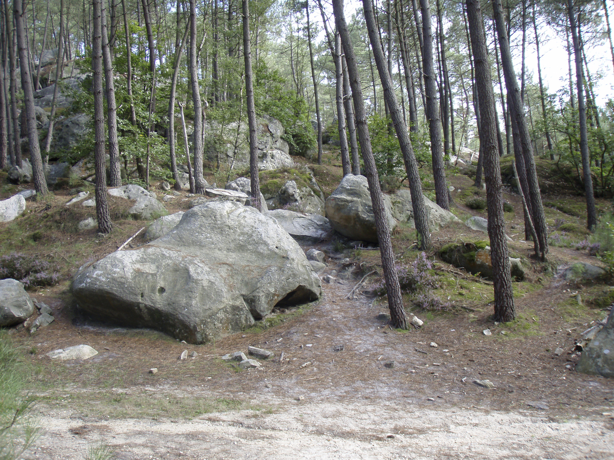 รูปถ่าย ฝรั่งเศส(France) ฟงเทนโบล(Fontainebleau) ทัวร์ป่า(Circuit des 25 bosses) 2007-08 32