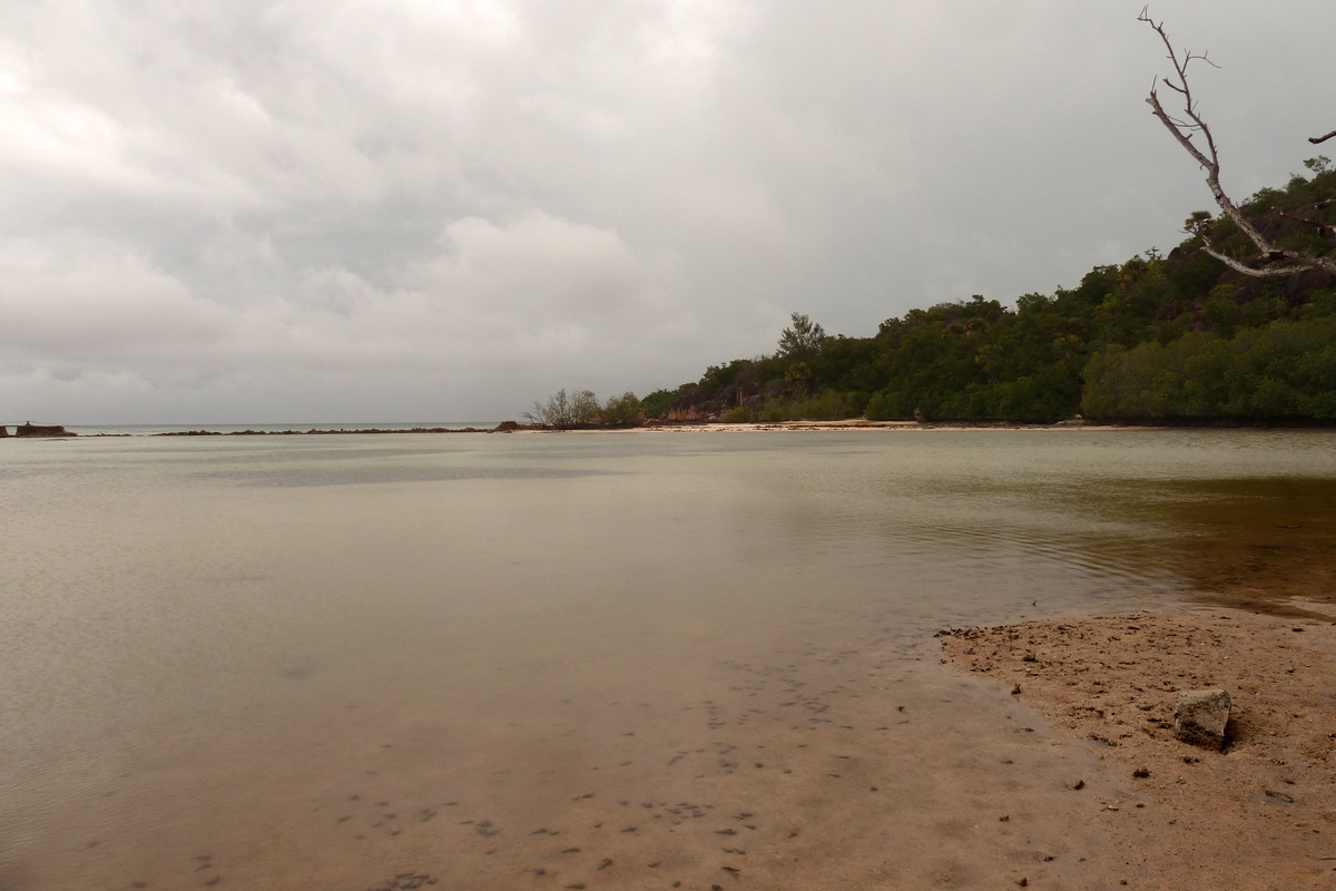 รูปถ่าย เซเชลส์(Seychelles) เกาะกูรีเยิซ(Curieuse) 2011-10 48