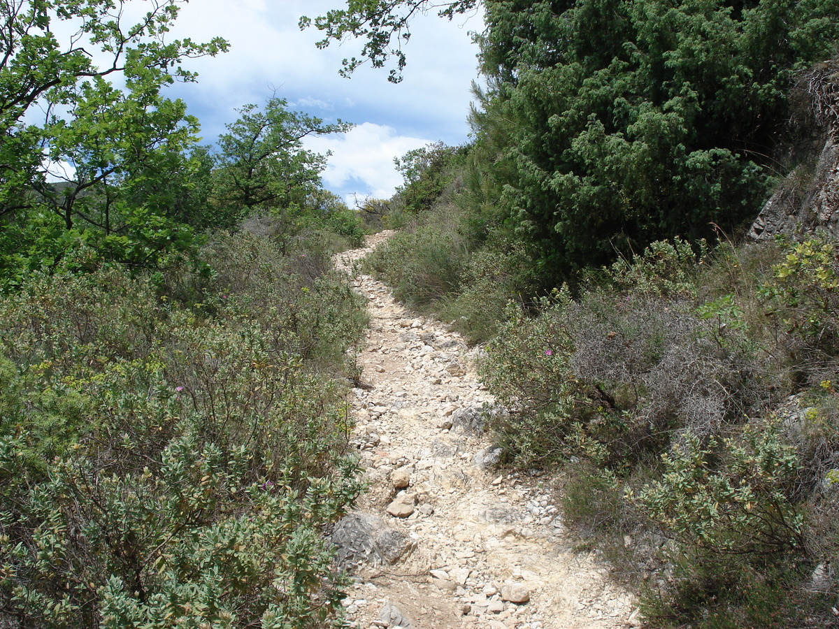 รูปถ่าย ฝรั่งเศส(France) วังซ์(Vence) บาอู(Baou) 2006-06 96