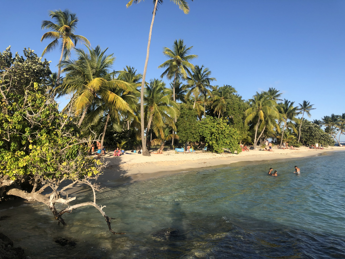 รูปถ่าย กวาเดอลูป(Guadeloupe) หาดลาการาแวล(La Caravelle Beach) 2021-02 152