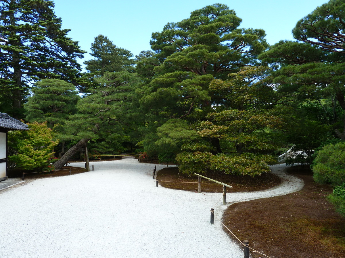 รูปถ่าย ญี่ปุ่น(Japan) เกียวโต(Kyoto) พระราชวังหลวงเกียวโต(Kyoto Imperial Palace) 2010-06 46