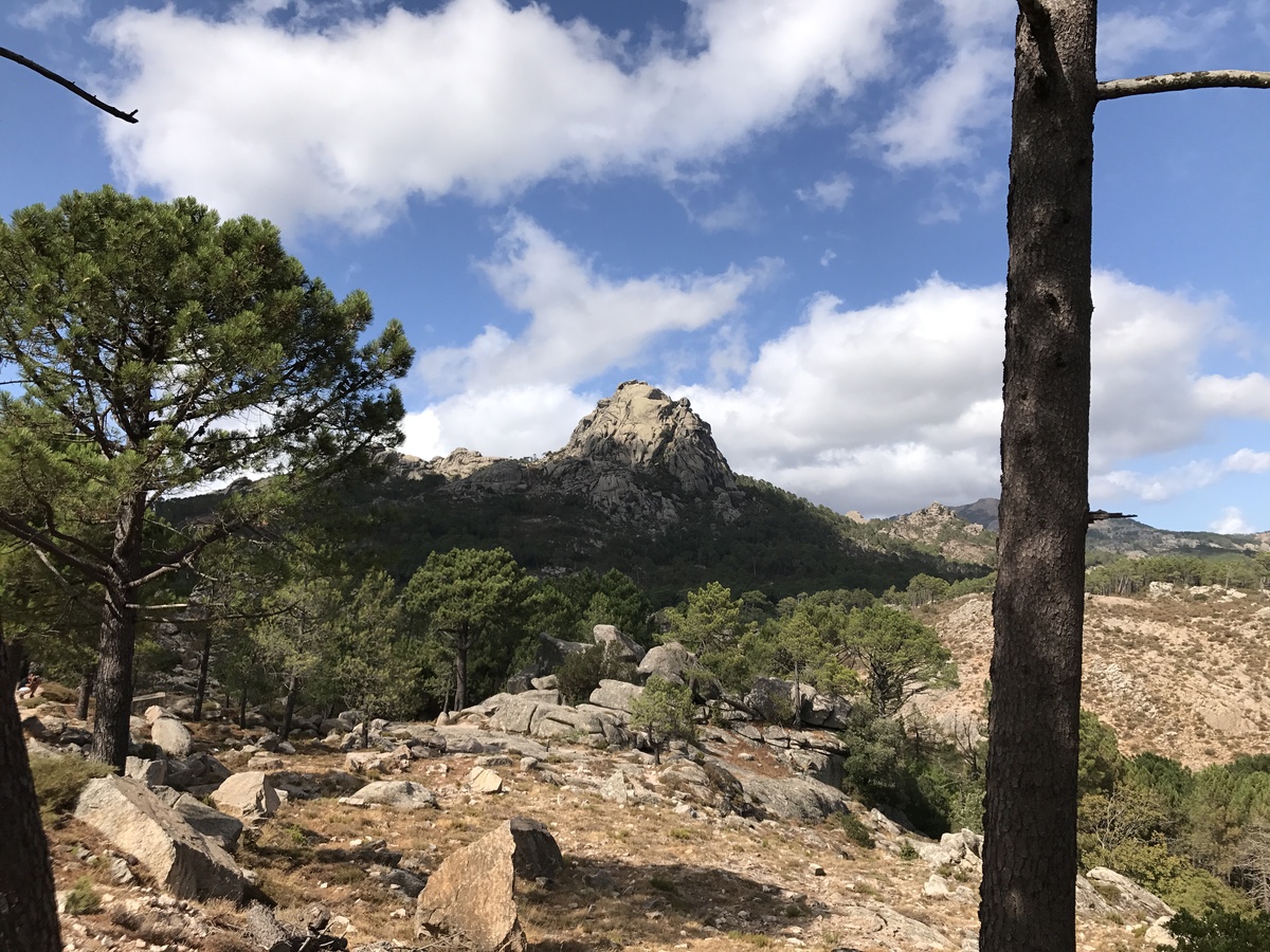 รูปถ่าย ฝรั่งเศส(France) คอร์สิคา(Corsica) ป่าลอสเปดาเล(L'ospedale Forest) 2017-09 3